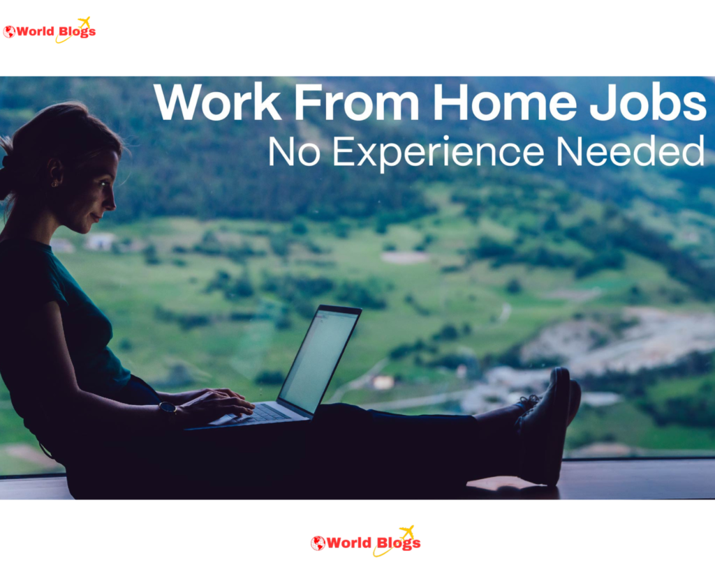 Work from Home Ideas Without Experience